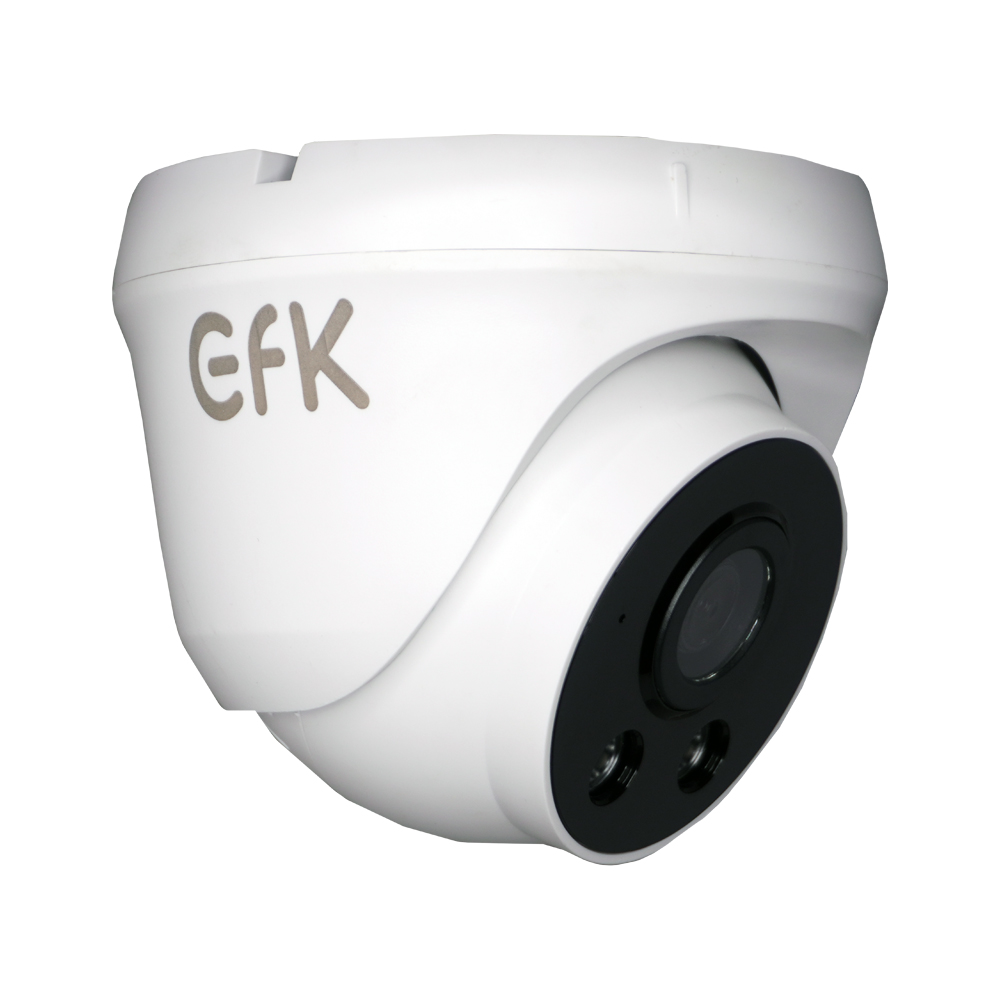 picture دوربین مداربسته تحت شبکه ای اف کی مدل  EFK-NC440DQ2WL-FM