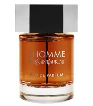 picture عطر و ادکلن ایو سن لوران لهوم ادوپرفیوم مردانه Yves Saint Laurent L'Homme Eau de Parfum