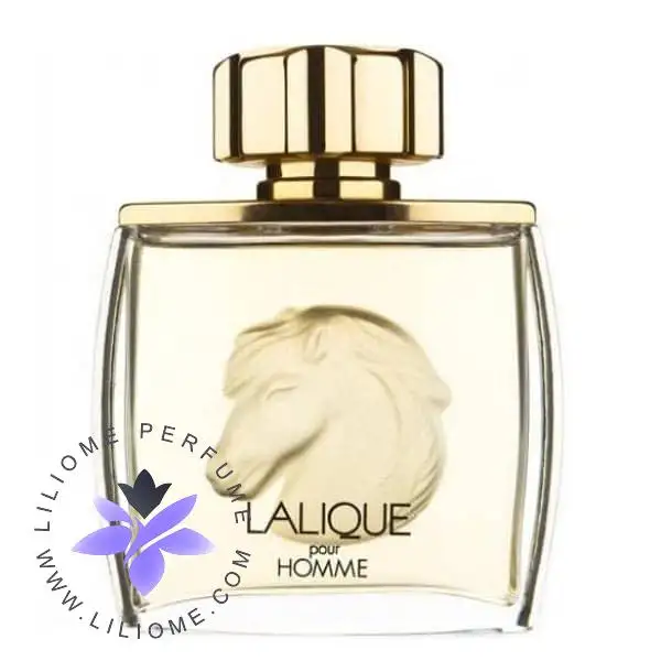 picture تستر اورجینال عطر لالیک پور هوم ایکوز(کله اسبی) | Lalique Pour Homme Equus Tester