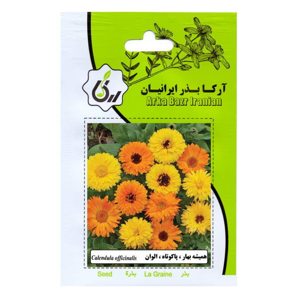 بذر گل همیشه بهار پاکوتاه الوان آرکا بذر ایرانیان کد 91-ARK 1432236