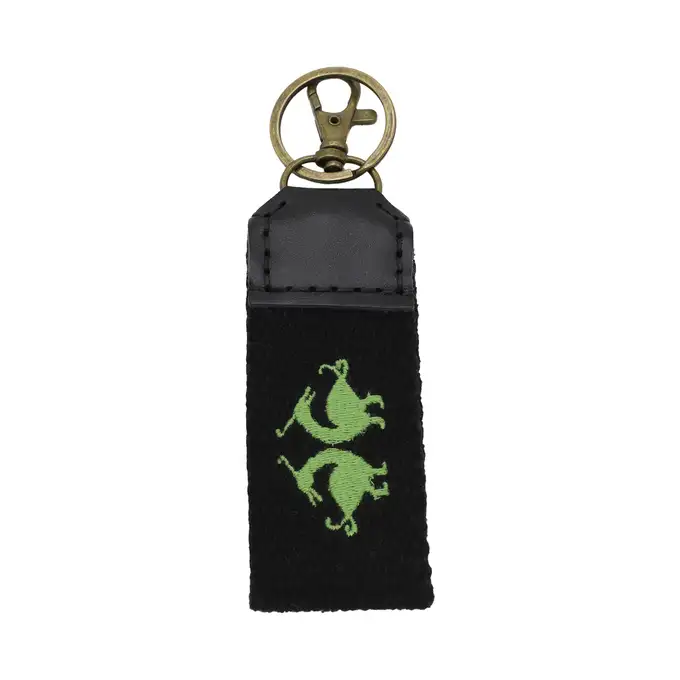 picture جاسوییچی رستا با کد 103-1-GREEN ( keychain )