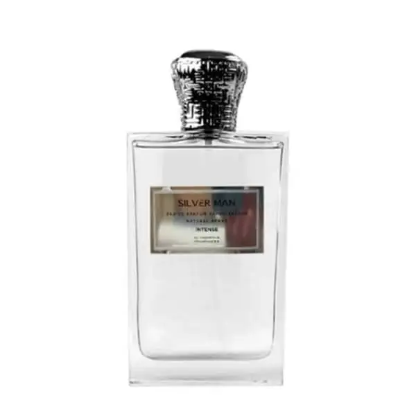 picture عطر ادکلن فشن اند فرگرنسز سیلور من اینتنس | Fashion & Fragrances Silver Man Intense