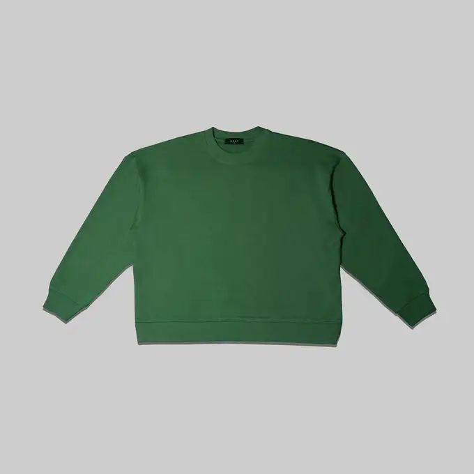 picture پلیور گری با کد SAGE GREEN SWEATSHIRT