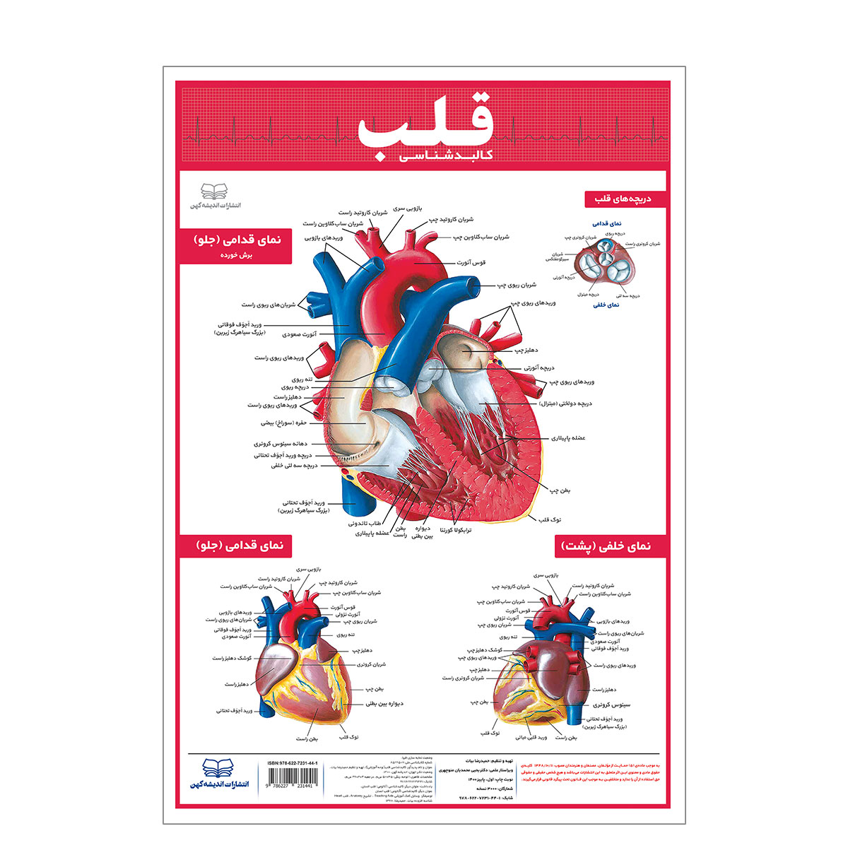 پوستر آموزشی انتشارات اندیشه کهن مدل کالبدشناسی قلب کد 35-50 2841566