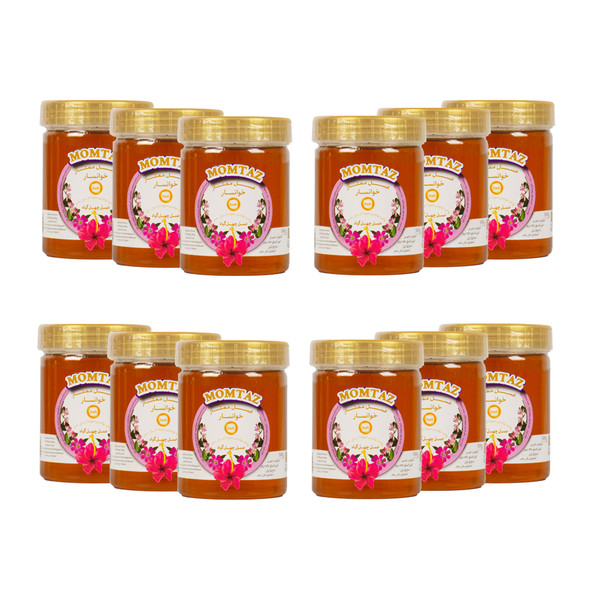 عسل چهل گیاه نمونه خوانسار - 500 گرم بسته 12 عددی 3612251