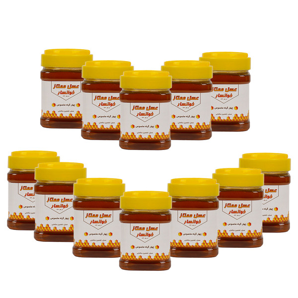 عسل چهارگیاه نمونه خوانسار - 500 گرم - بسته 12 عددی 3625261