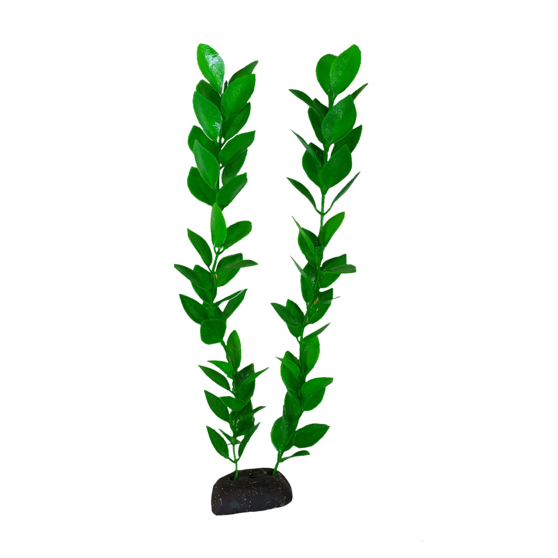 گیاه تزیینی آکواریوم مدل لودویجیا s30 3740523
