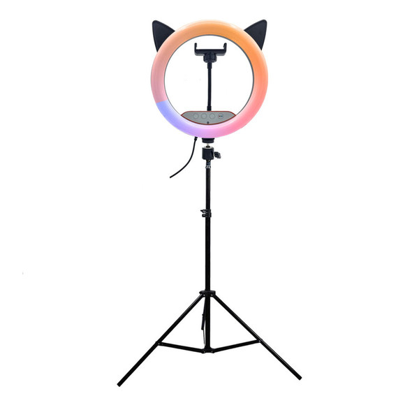 رینگ لایت مدل  گربه ای کد RGB-CM26 RK 4184850