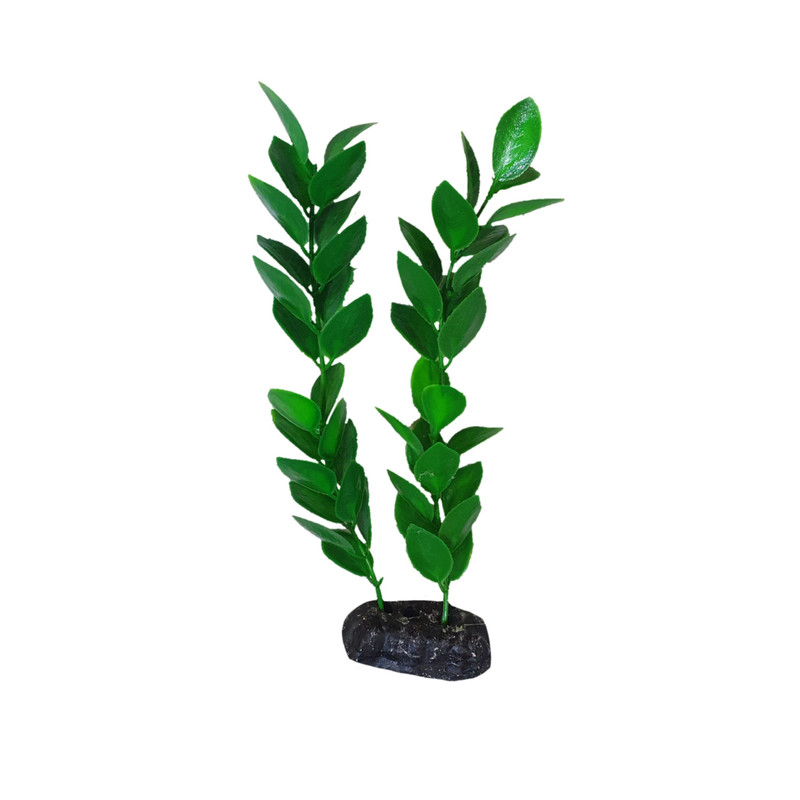 picture گیاه تزیینی آکواریوم مدل لودویجیا s20