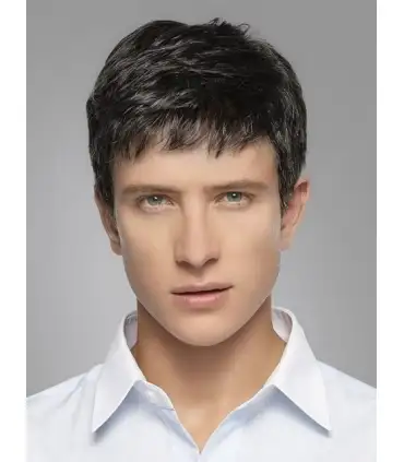 picture کلاه گیس مردانه کالس کوتاه Kalyss ws303 Men's Short Straight Black Wig Heat Resistant Synthetic Hair Wig