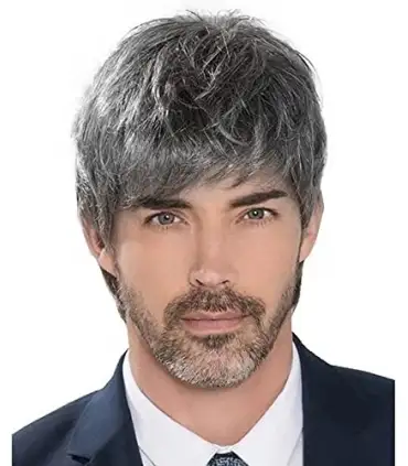 picture کلاه گیس مردانه ووئر لیر خاکستری کوتاه Wooer Mens Wig Male Short Layered Costume Party Handsome Fluffy