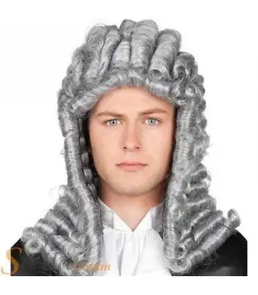 picture کلاه گیس (پوستیژ) جونگ تینگ تئاتری وکیل و قاضی خاکستری JoneTing Judge Wig for Lawyer Cosplay Costume Grey Wigs for Men