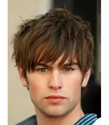 picture کلاه گیس (پوستیژ) مردانه باروسی کوتاه قهوه ای مخلوط Baruisi Mens Short Wig Brown Layered Hair Wig